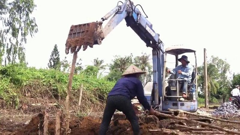 Móng cọc là gì? Đặc điểm, cấu tạo và phân loại 9 Móng cọc cừ tràm